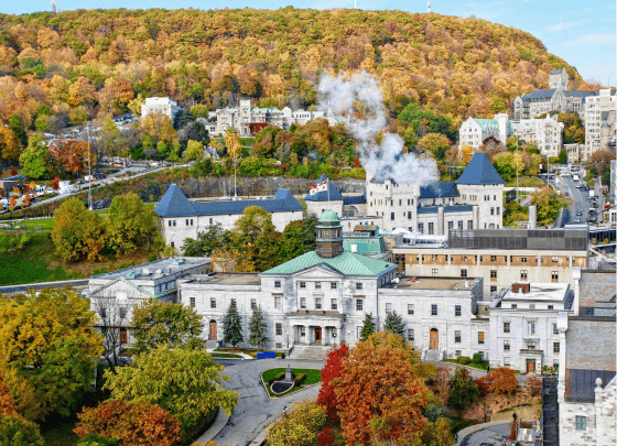 McGill University